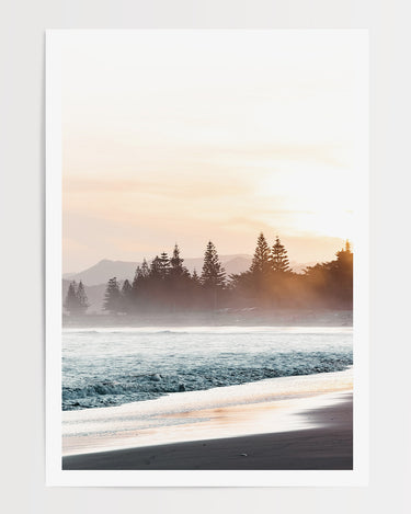 Print Only