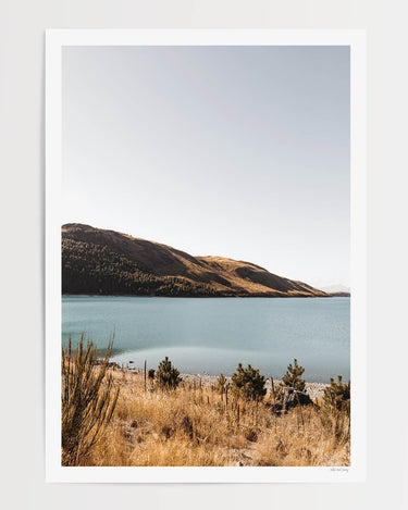 Print Only