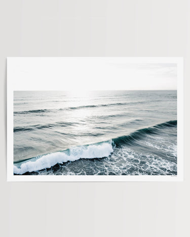 Print Only