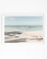 Framed in White