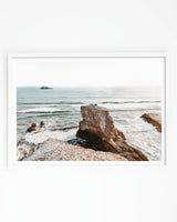 Muriwai Gannet Colony Photographic Art Print