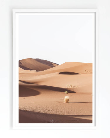 Framed in White