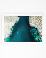 Framed in White
