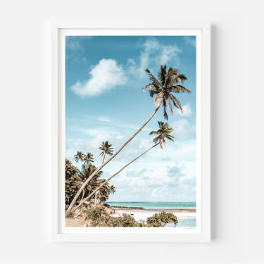 Palm Trees • Rarotonga - Alex and Sony