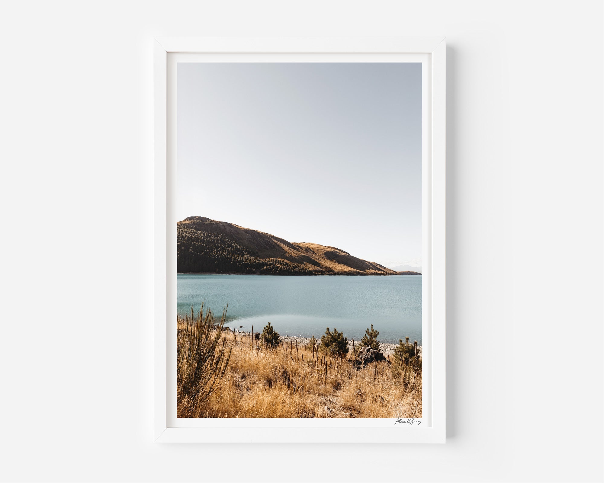 Some Time Ago | Lake Tekapo - Alex and Sony