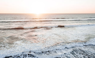 West Coast favourite, Muriwai surf Beach - Alex and Sony