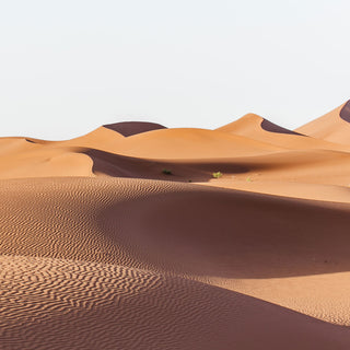 Desert