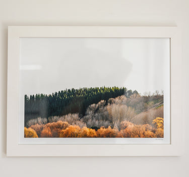Autumnal Layers • A3 Framed