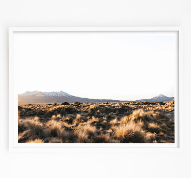 Alpine Wilderness