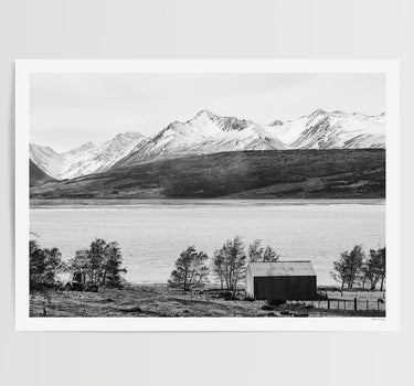 Along Lake Pukaki