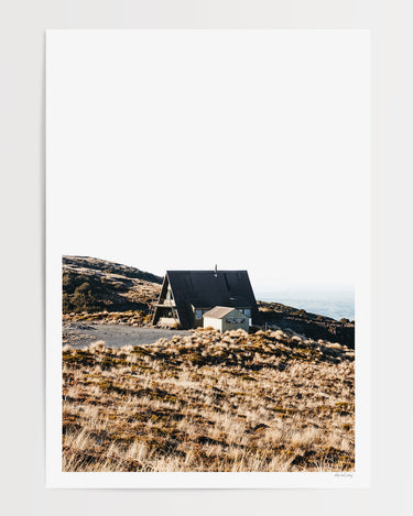 Print Only