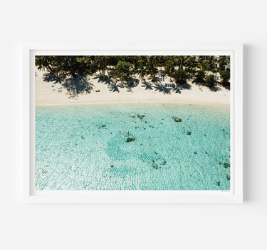 Amongst the Palms • Rarotonga