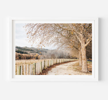 Framed in White
