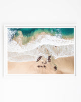 Framed in White