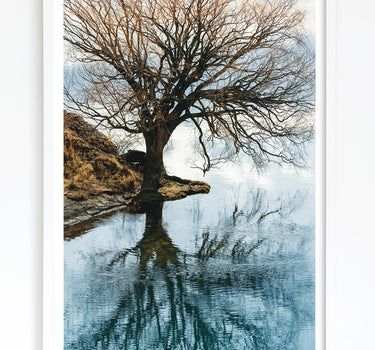 Lake Benmore South Island art print