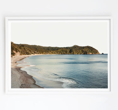 Carefree Days in the Coromandel