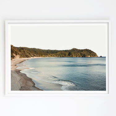 Carefree Days in the Coromandel