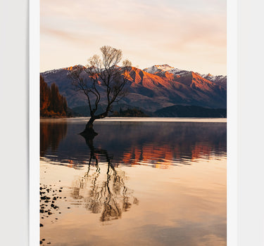 Copper Dawn • Lake Wanaka