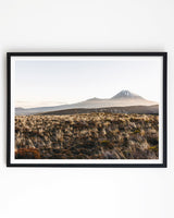 Framed in Black