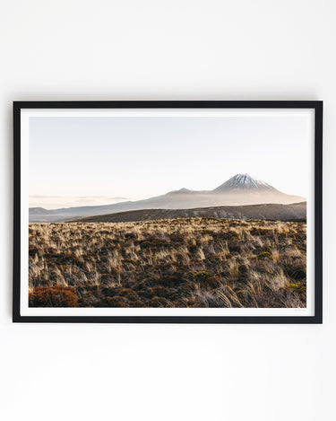 Framed in Black