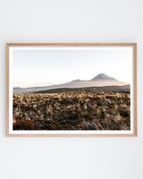 Framed in Oak