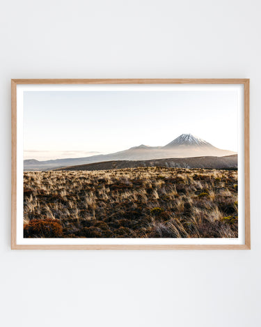 Framed in Oak