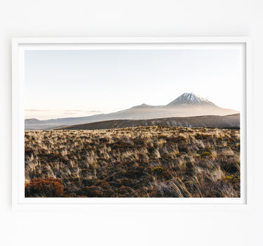 Framed in White