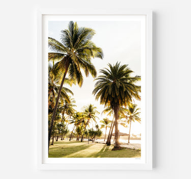 Framed in White