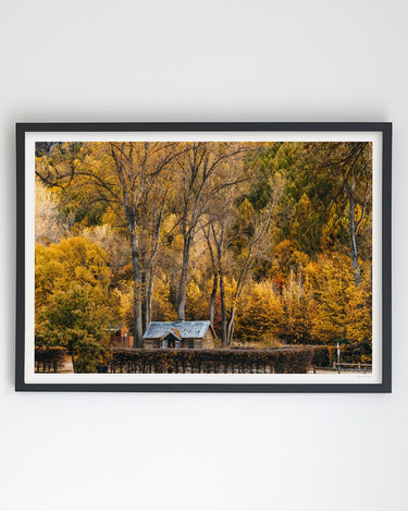 Golden Canopy, Arrowtown art print – black frame