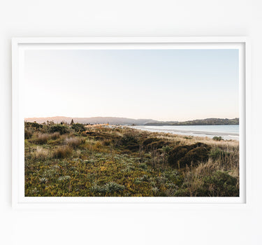 Golden Coastal Stillness