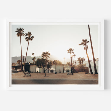 Golden Palm Springs • Limited Edition