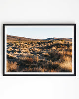 Framed in Black