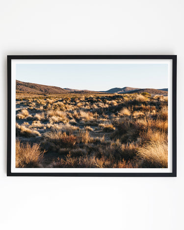 Framed in Black