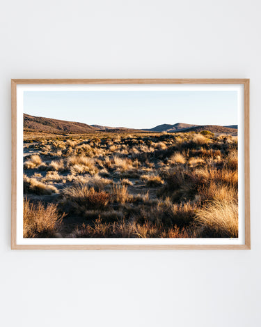 Framed in Oak