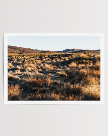 Print Only