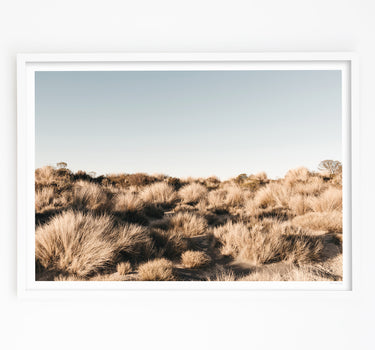 Framed in White