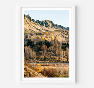 Framed in White