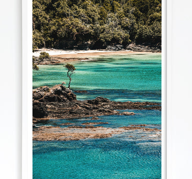 Framed in White