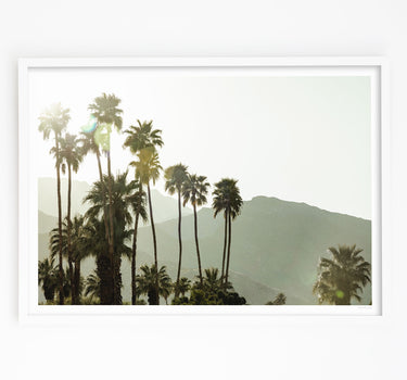 Framed in White