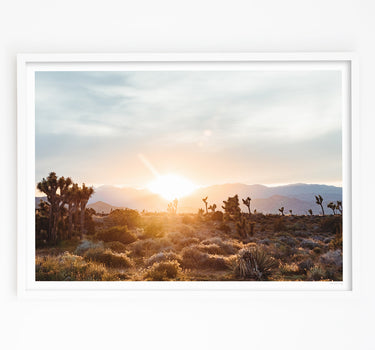 Framed in White