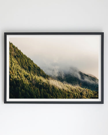 Mist Through the Pines, Queenstown art print – black frame