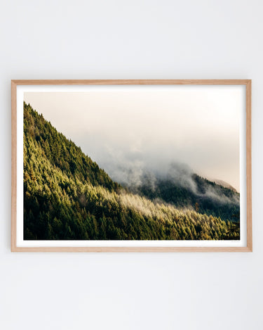 Mist Through the Pines, Queenstown art print – oak frame
