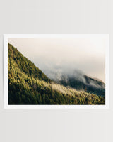 Mist Through the Pines, Queenstown art print – unframed