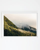 Mist Through the Pines, Queenstown art print – white frame
