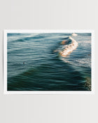 Morning Surf • Piha