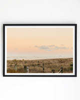 Framed in Black