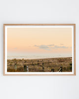 Framed in Oak