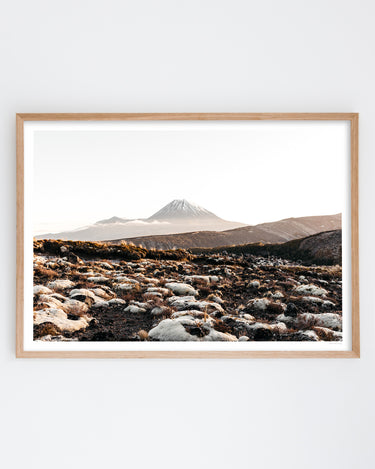 Framed in Oak