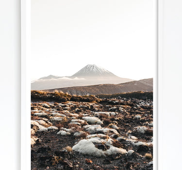 Framed in White
