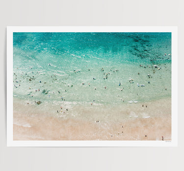 Ocean Fun • Tawharanui Beach